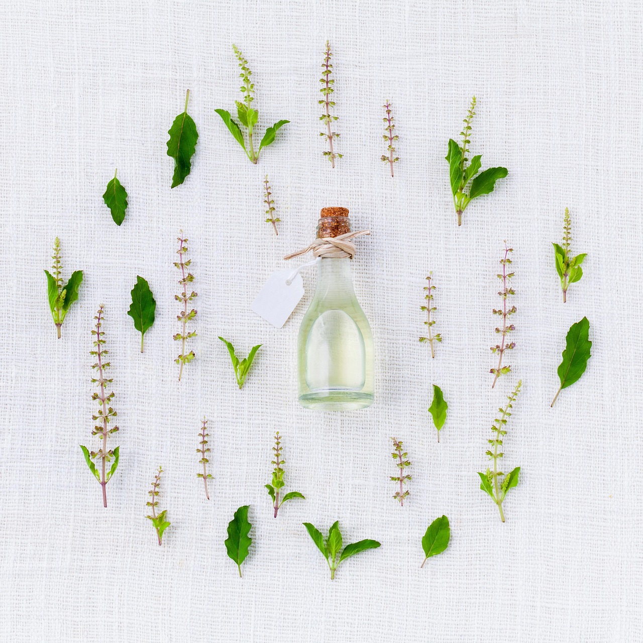 What Does Litsea Cubeba Smell Like? A Lemon-Drop Scent Profile